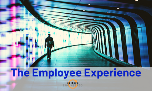 Employee Experience Basics Every Leader Should Know