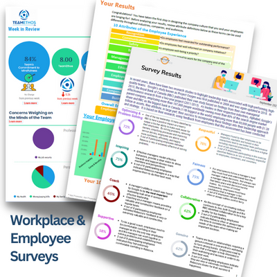 Workplace & Employee Surveys